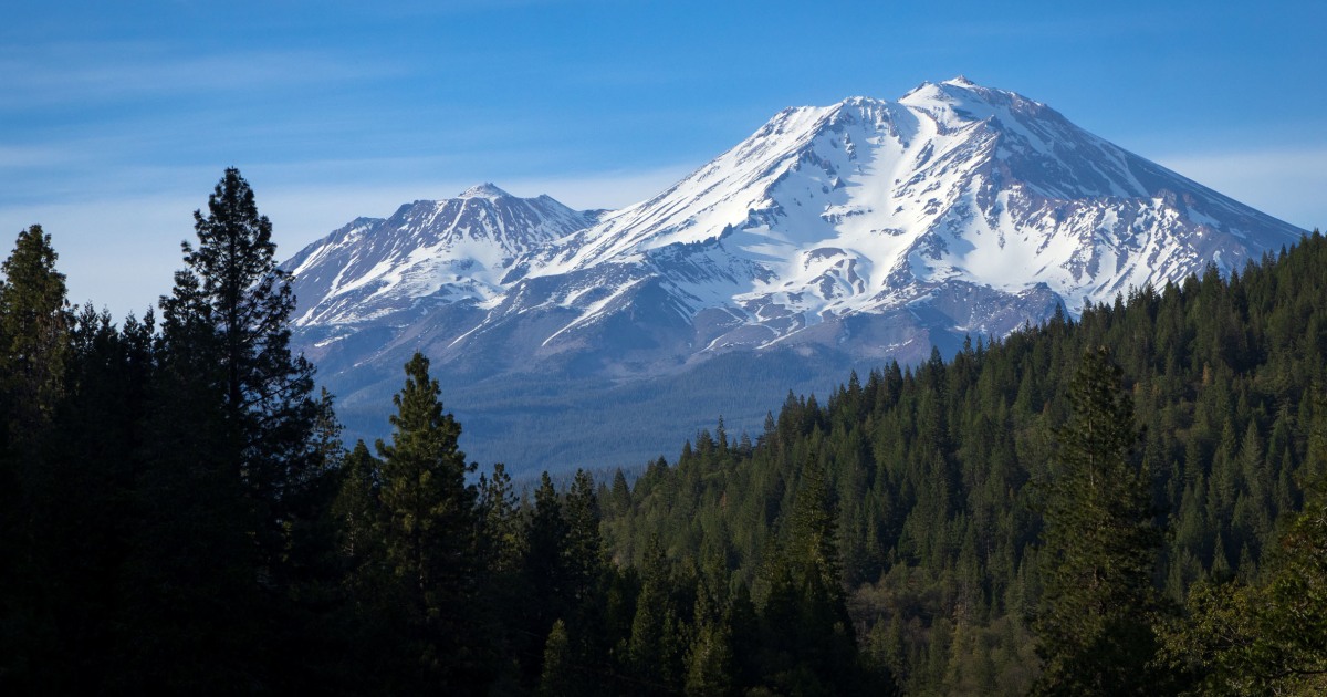 Forest Service workers freed after hostage standoff near Mount Shasta