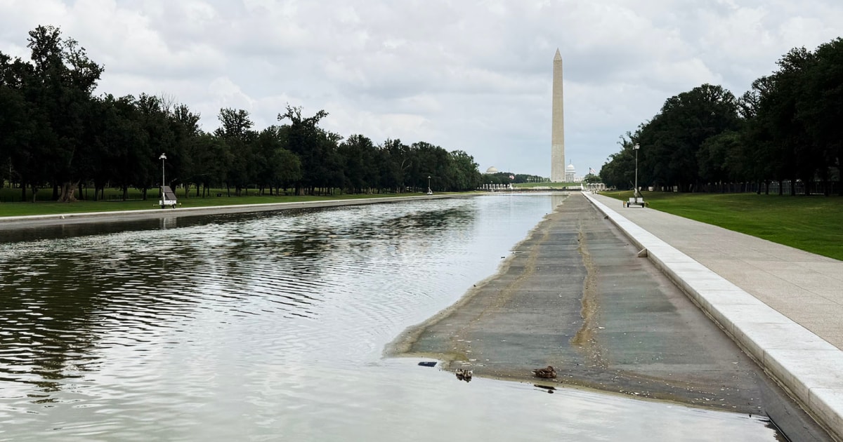 David Hearn Reflecting Pool filing challenges felony damage claim