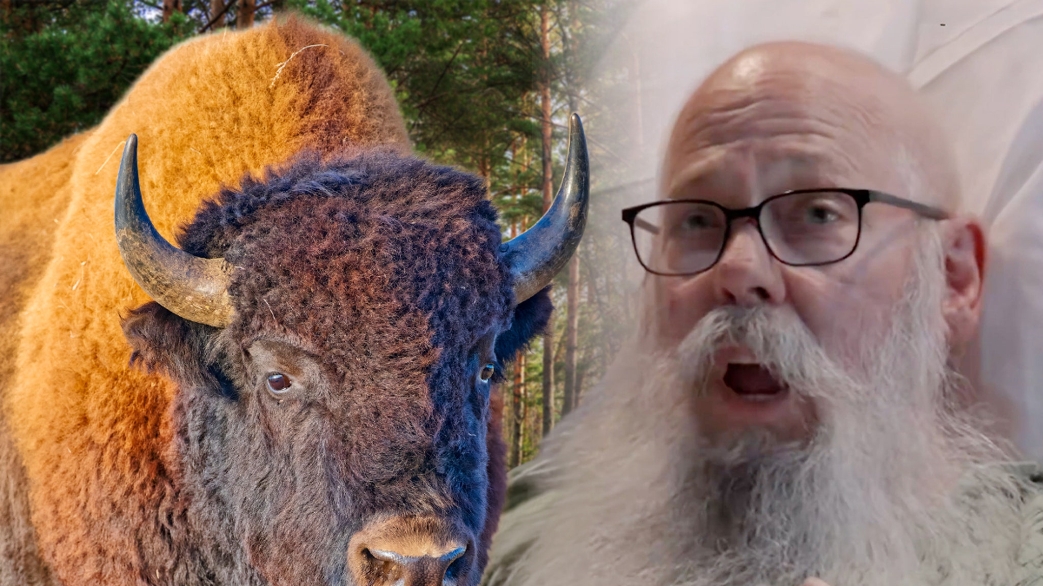 Yellowstone bison attack victim warns animals are faster than they look
