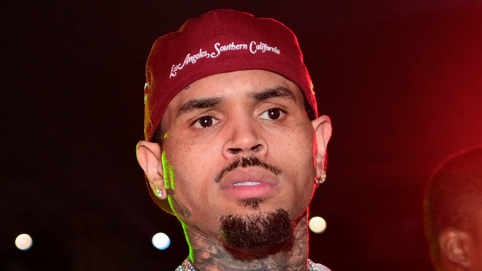 Chris Brown dog attack judgment may put tour profits in play