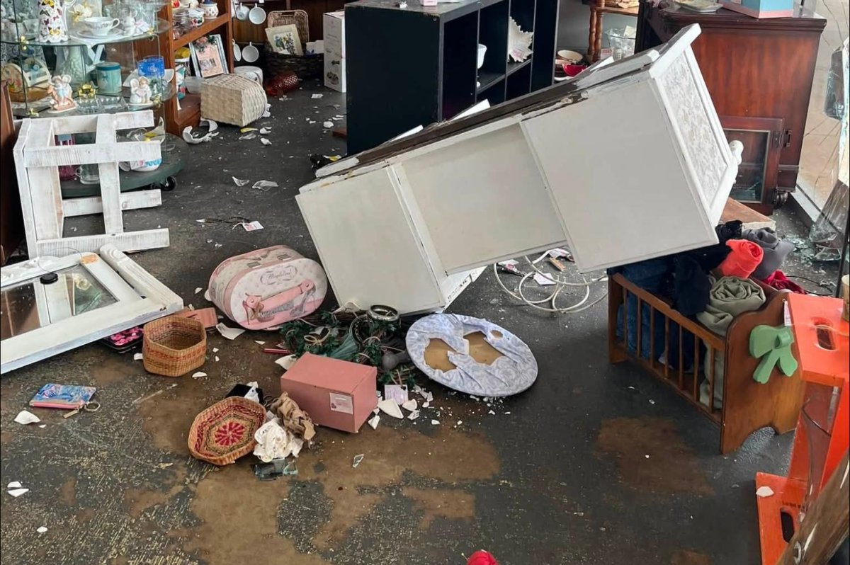 Deer barges into Alabama antique shop through front window