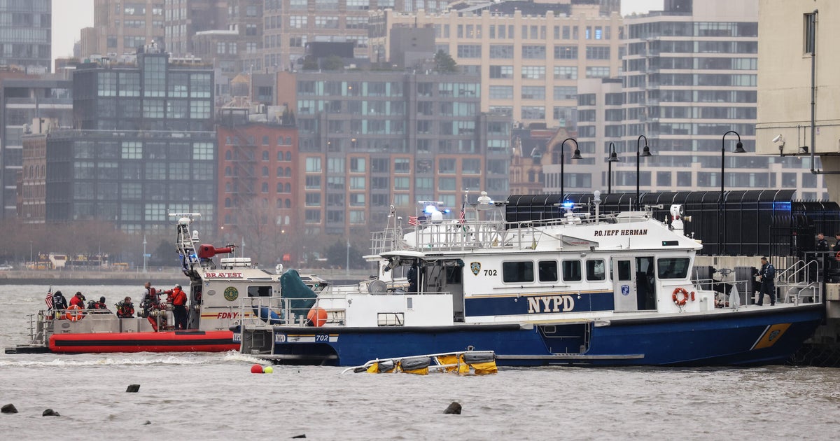 NTSB points to bird strike in Hudson River helicopter crash that killed six