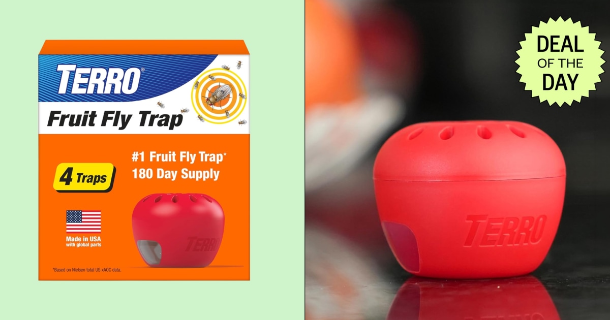 Terro fruit fly trap four-pack drops to $10.98 on Amazon