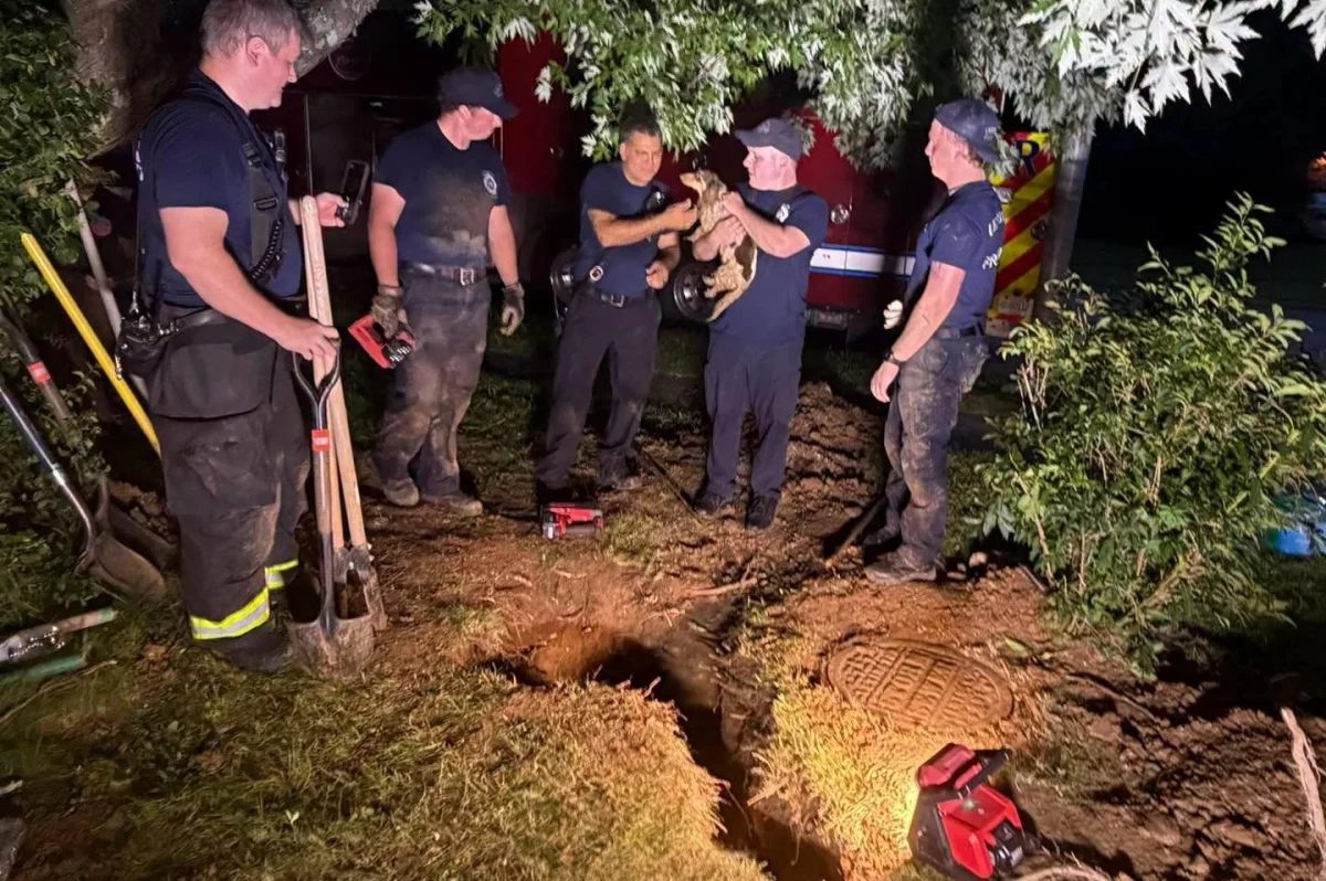 Dachshund dug out after backyard tunnel rescue in Kentucky