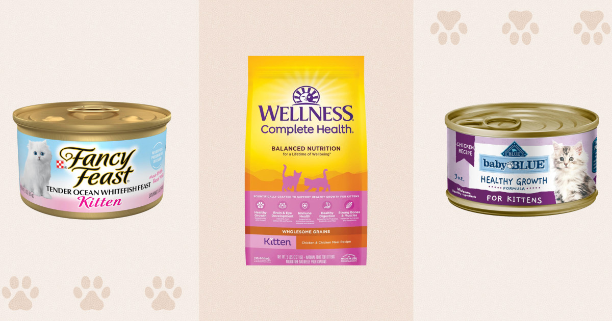 Vet-backed kitten food picks put meat first
