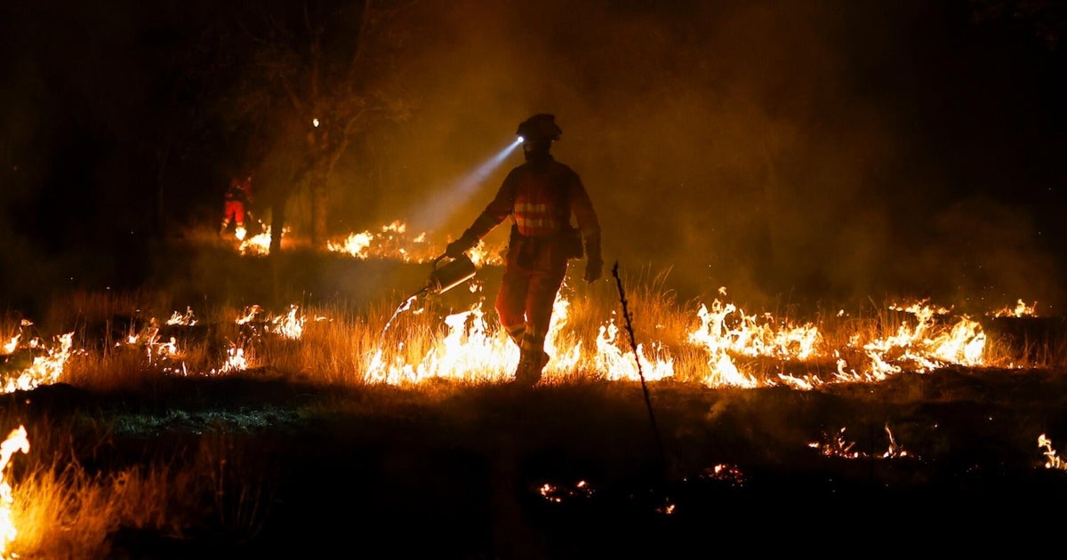 France wildfire burns area four times the size of Paris