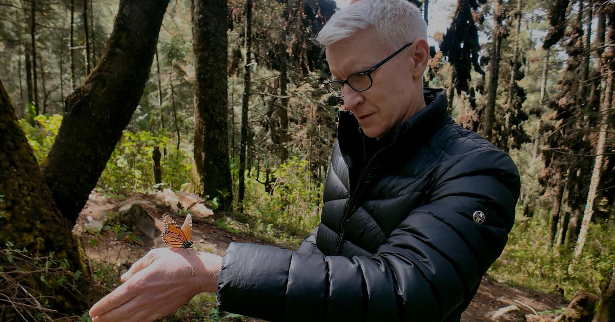 Anderson Cooper’s monarch trek came down to one lucky burst of sun