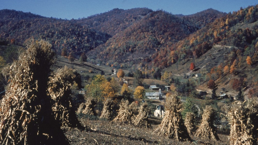 FX eyes rescue drama from New Yorker story on Smoky Mountains volunteers