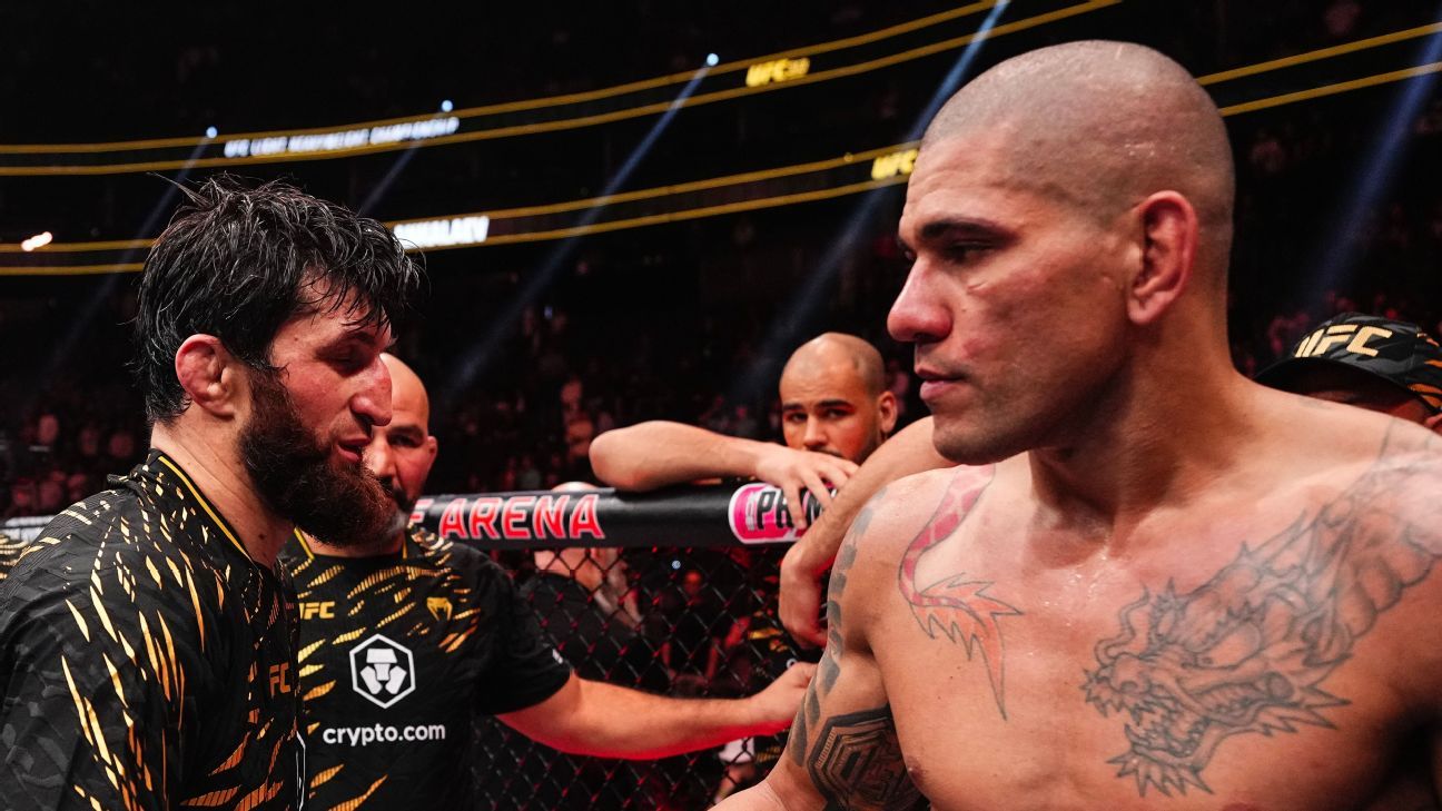 Magomed Ankalaev title shot chances pegged high before Abu Dhabi return