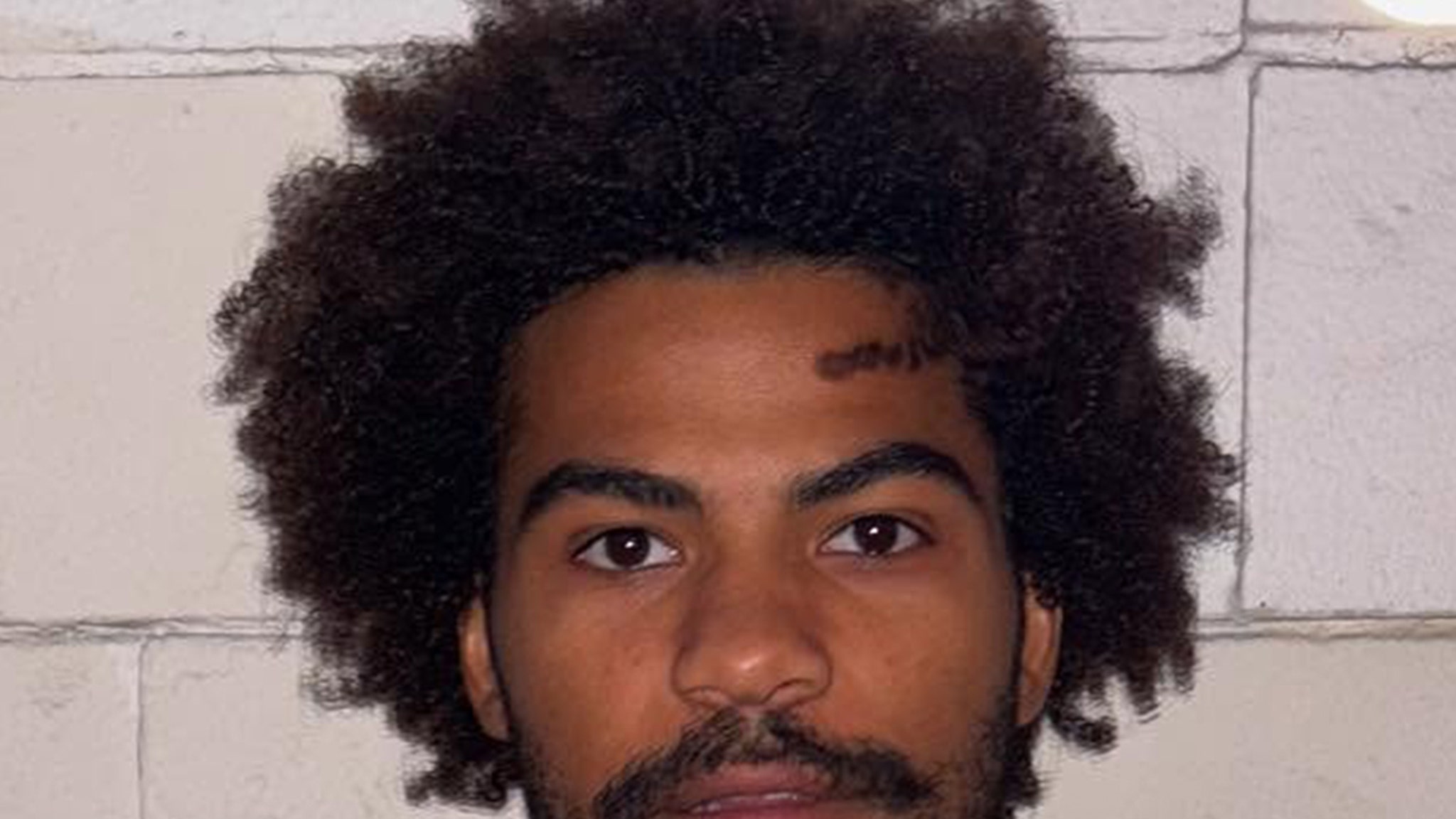 Station 19 actor Noah Alexander Gerry booked in Burbank vandalism case