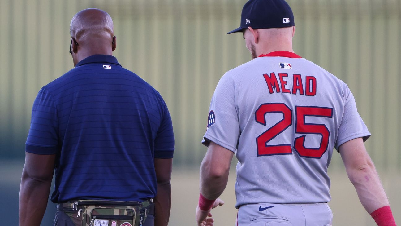 Curtis Mead wrist injury cuts short Red Sox debut
