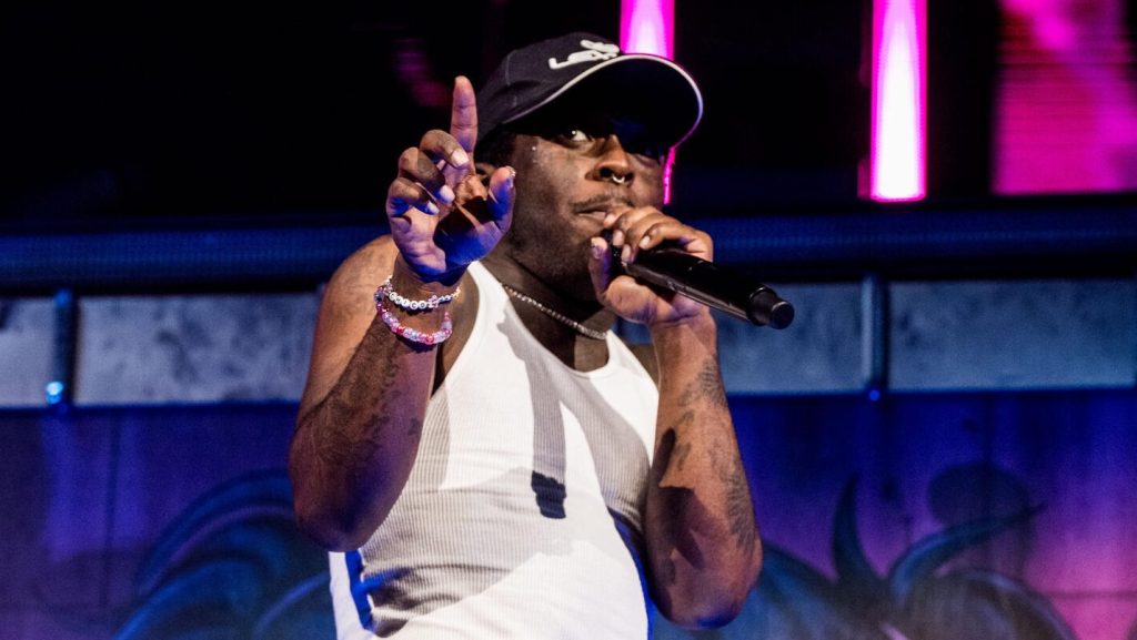 Lil Uzi Vert Lollapalooza cancellation puts Zara Larsson on T-Mobile Stage