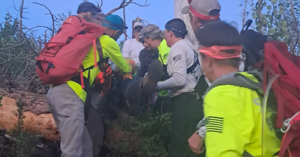 Grand Canyon hiker rescued after cold night in remote forest area