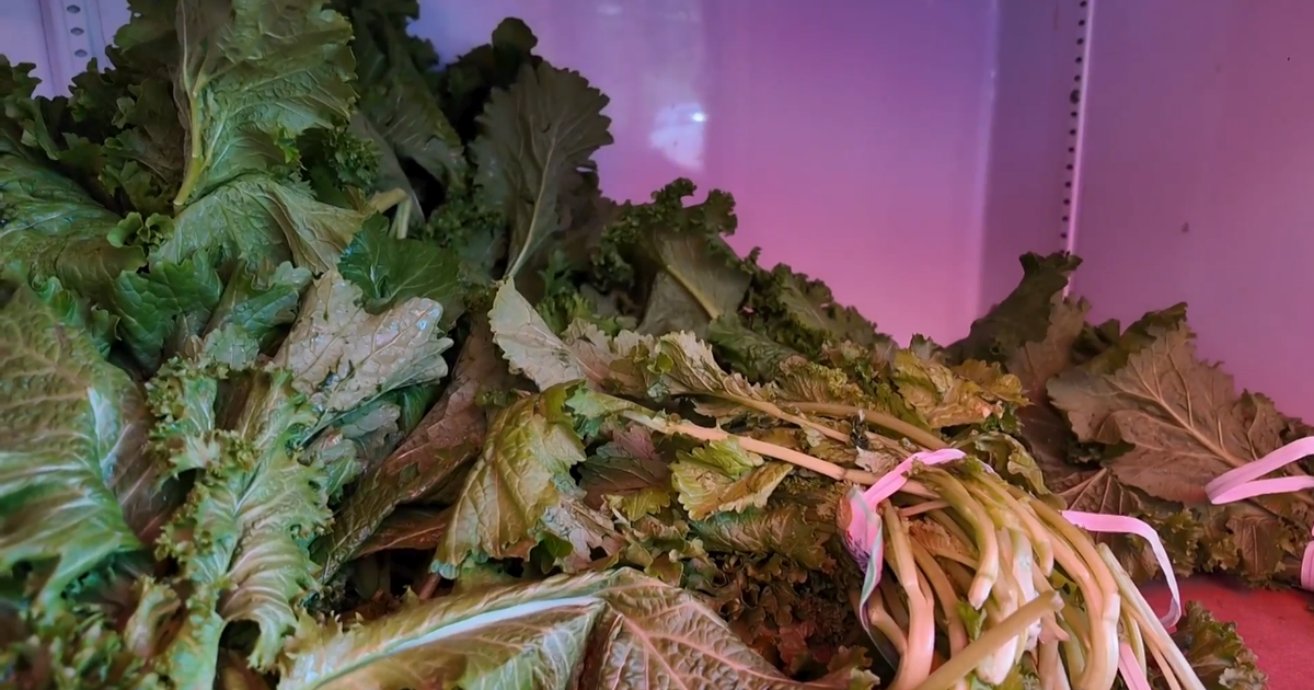 Cyclospora outbreak poll finds 4 in 10 cutting back on produce