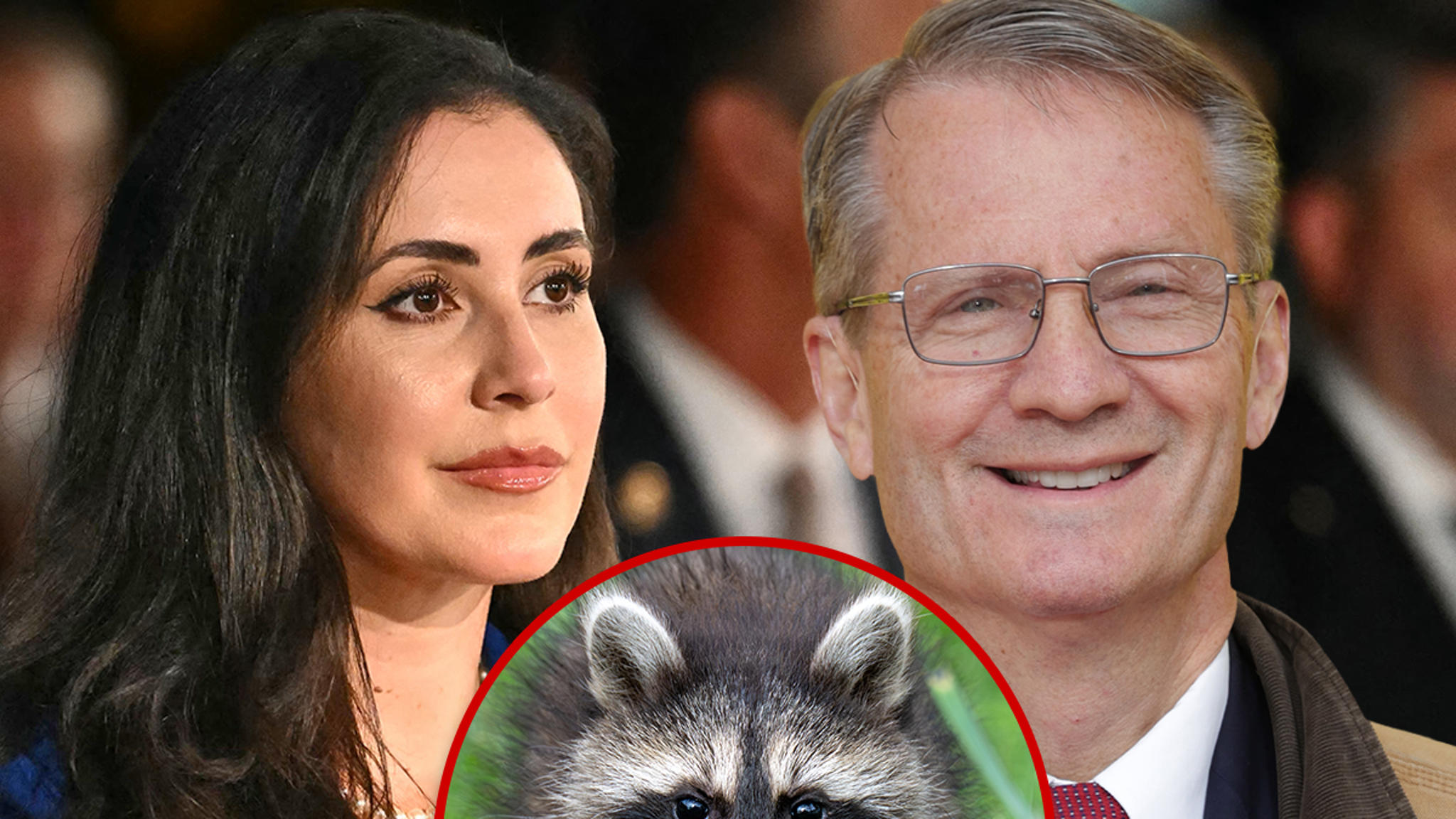 Jimothy raccoon Congress push asks Seattle to guard viral critter