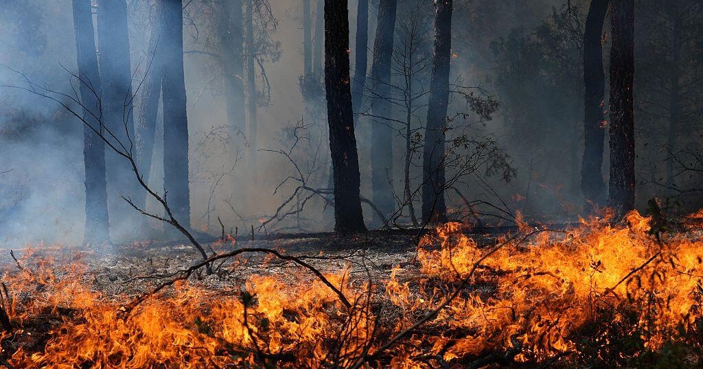 Wildfires in France and Spain send more than 200,000 fleeing